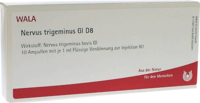 NERVUS TRIGEMINUS GL D 8 Ampullen