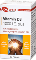 VITAMIN D3 1.000 I.E. plus Dr.Wolz Kapseln